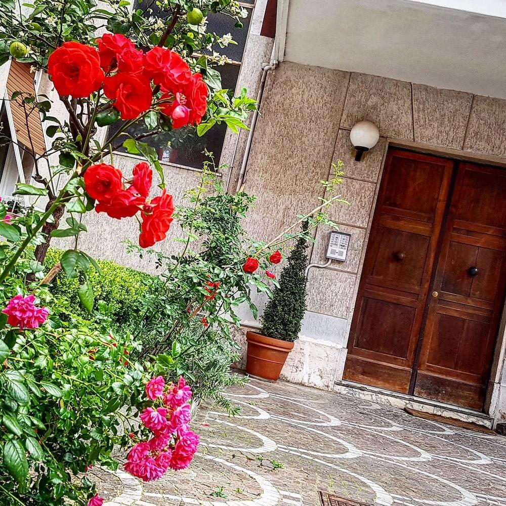 Aurelia Garden Rome